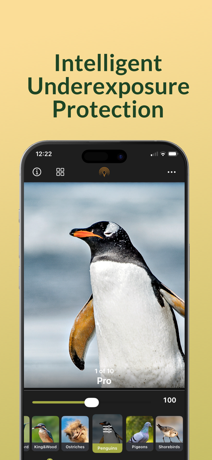 Birder Camera by Radiant Photo