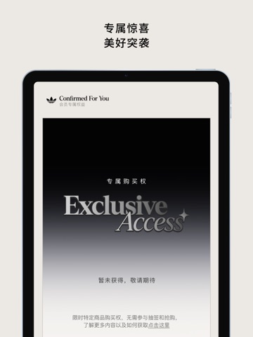 CONFIRMED iPad screenshot 4