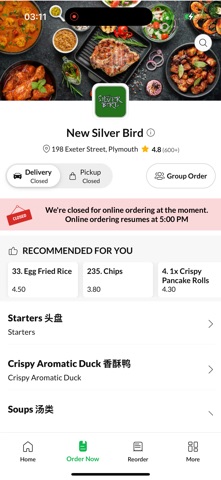 New Silver Bird Screenshot 2 of 4