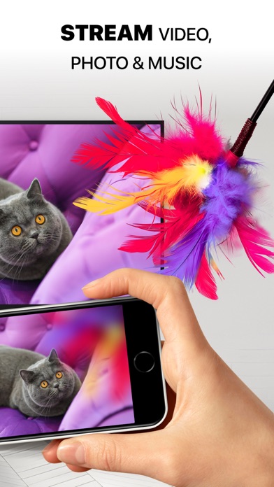 DoCast: Screen Mirroring to TV Screenshot