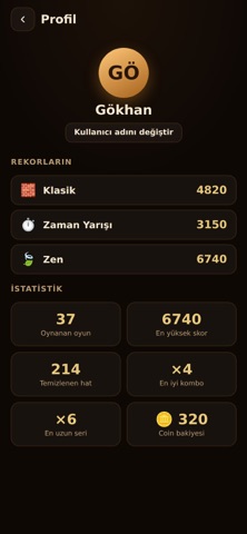 Wood Puzzle screenshot 5