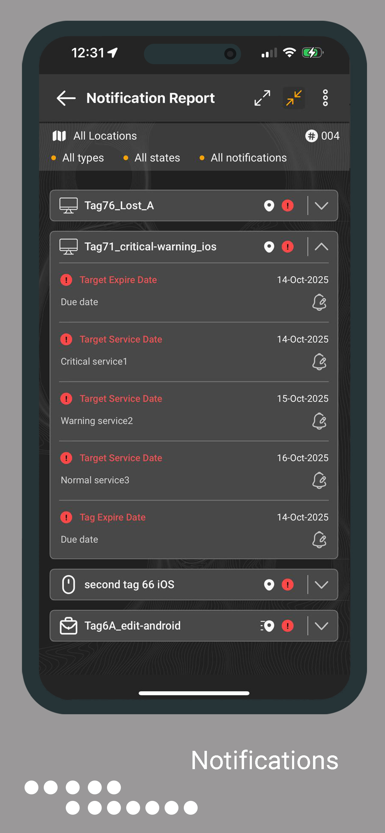 Ninox screenshot 4