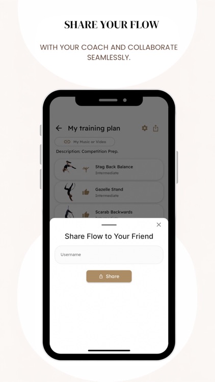 Aerial Hoop Flow screenshot-3