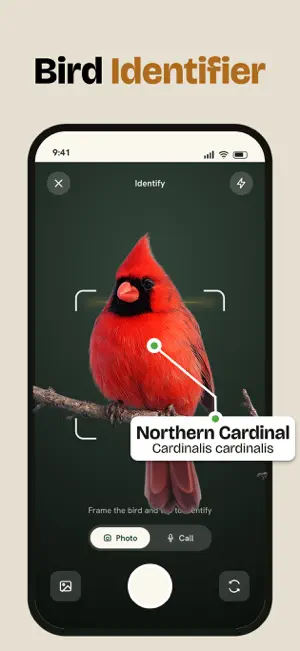 Bird Identifier, Bird Id screenshot 1