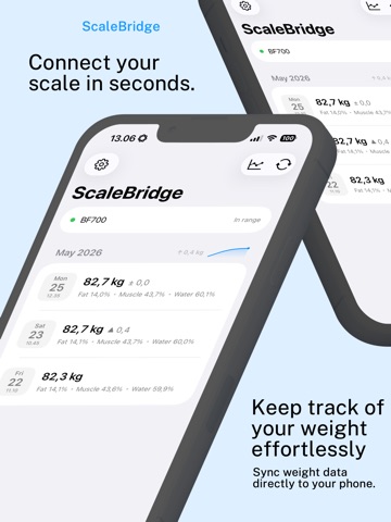 ScaleBridge iPad screenshot