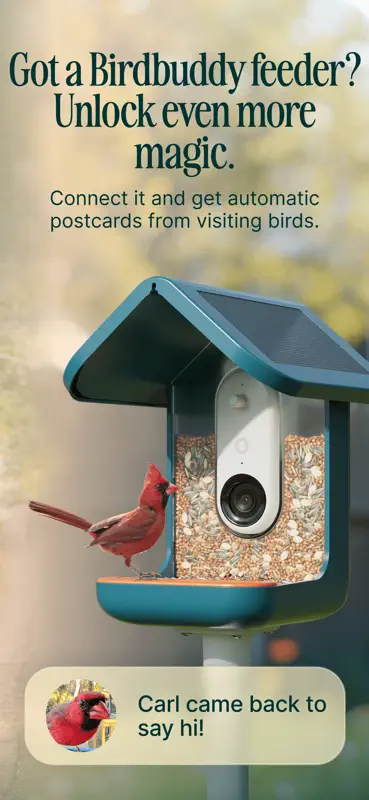 Birdbuddy: ID & Collect Birds screenshot 2 of 5