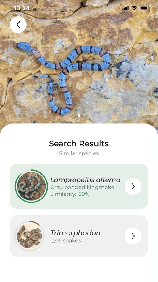 #5. Snake name - identify snakes (iOS) 게시자: FlowerChecker s.r.o.