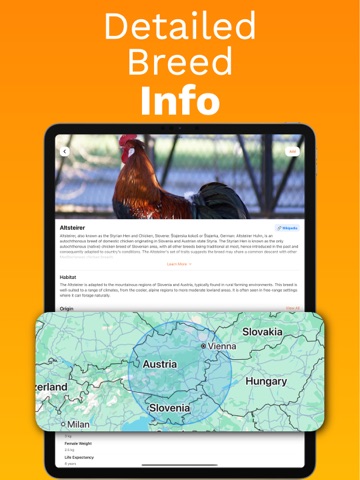 Chicken Identifier – RoostScan iPad screenshot