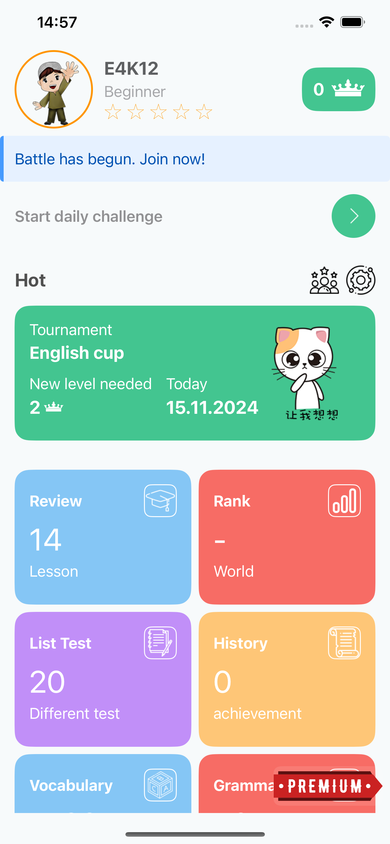 Learning Languages