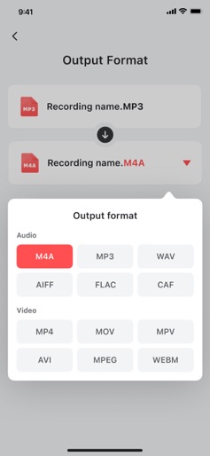 Voice Recorder — Audio Memos screenshot 4
