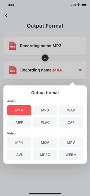 Voice Recorder - Audio Memos screenshot 4