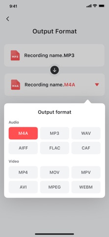 Voice Recorder－Dictaphone App App Store preview screenshot 4