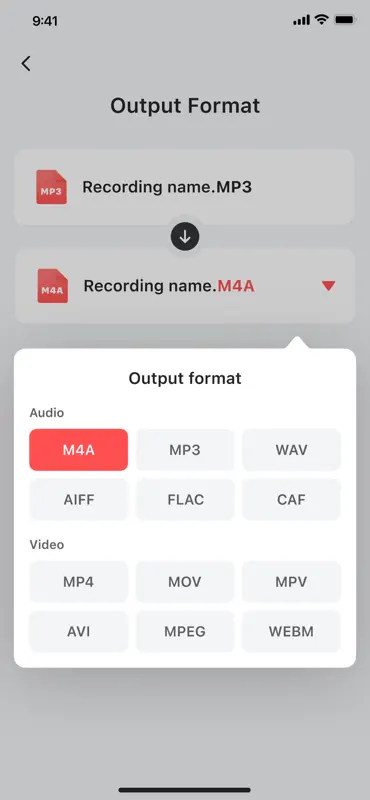 Voice Recorder — Audio Memos screenshot 4 of 6