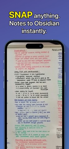 Camera for Obsidian Notes iPhone screenshot