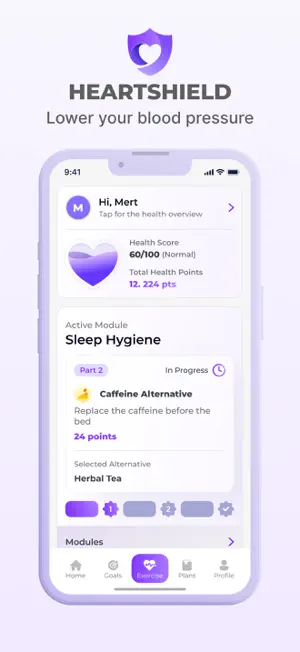 HeartShield screenshot 1