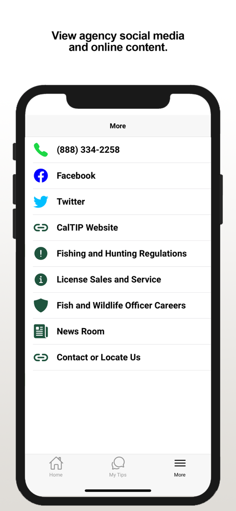 CalTIP screenshot 3
