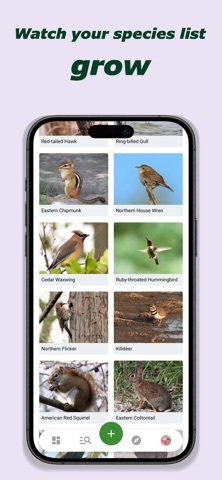 FaunaMap: Birdwatching Screenshot 7 of 8