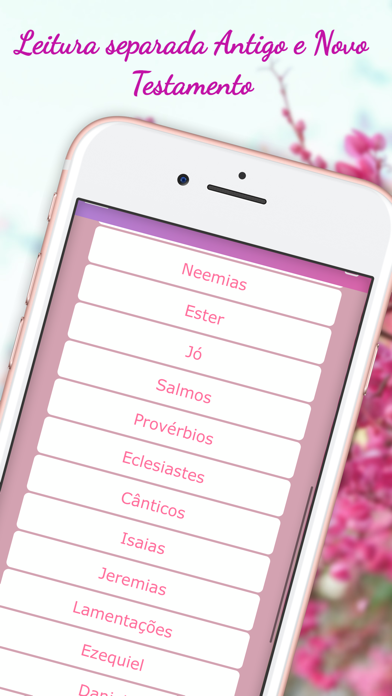 Bíblia Mulher de Virtudes Screenshot