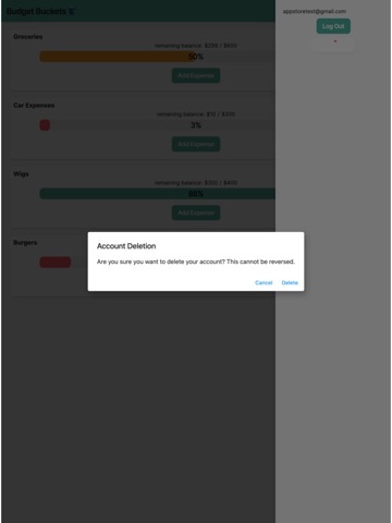 Budget Buckets Pro iPad screenshot