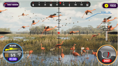 Animal Hunting Simulator 2024 Screenshot