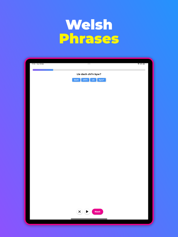 Screenshot #5 pour MuseLingo - Learn Welsh