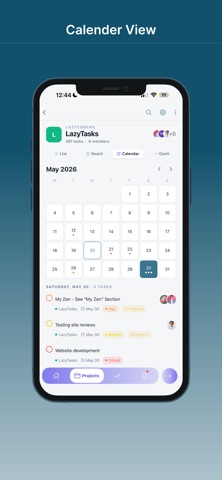 LazyTasks screenshot