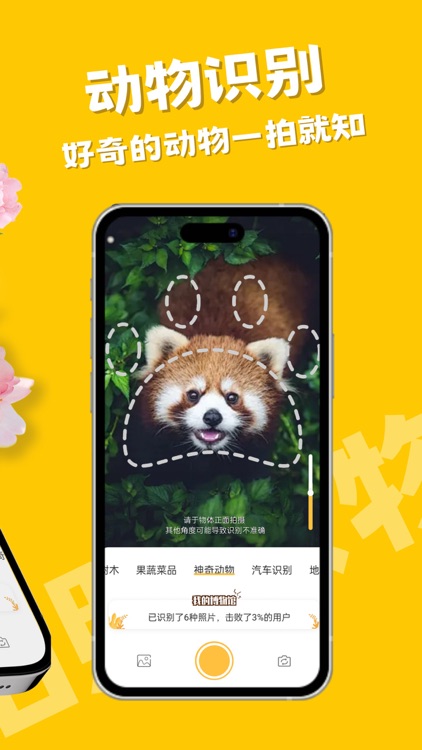 拍照识物-生活拍照小百科