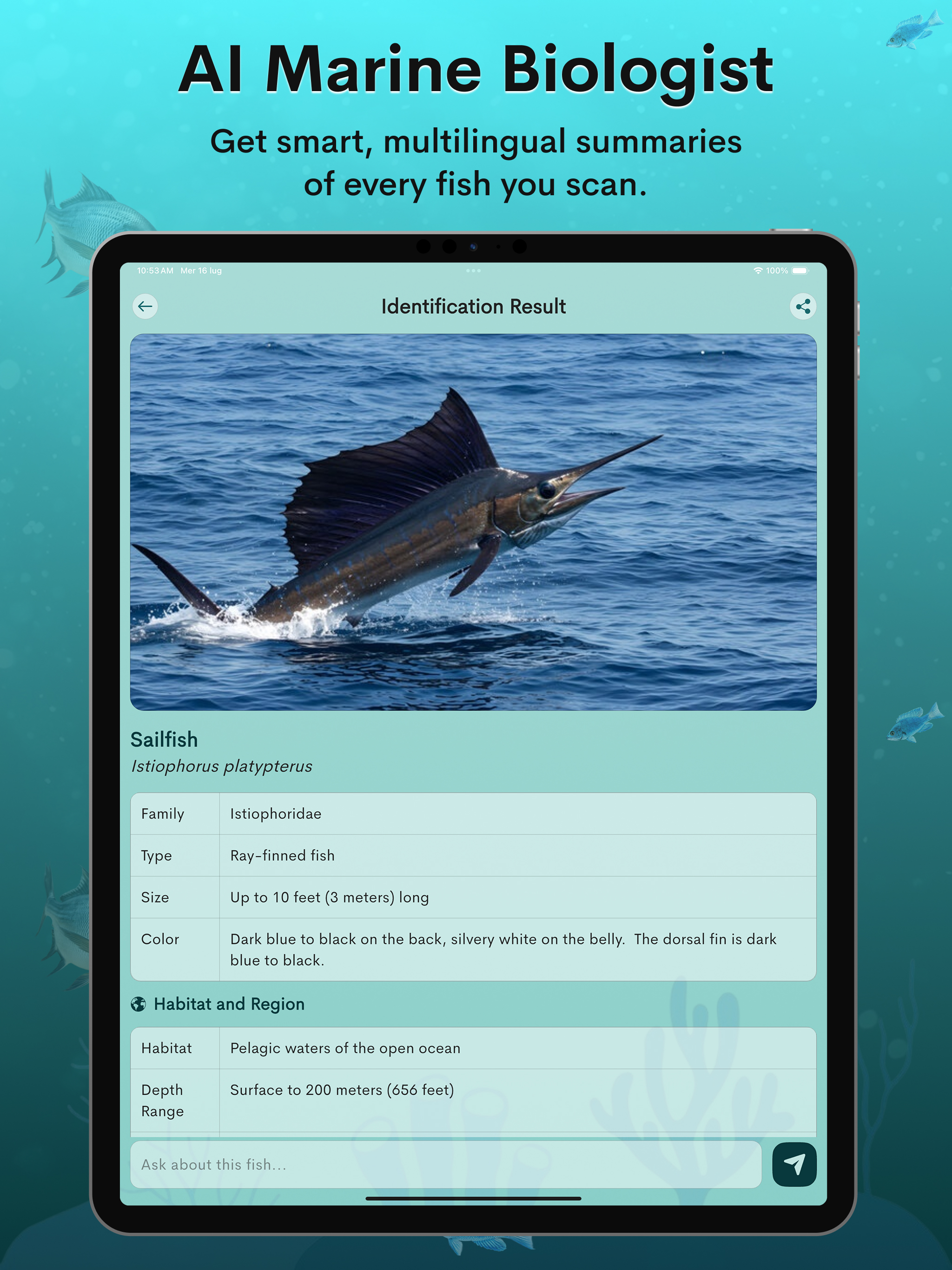 Fish Identifier by Photo screenshot 8