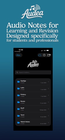 Audea screenshot
