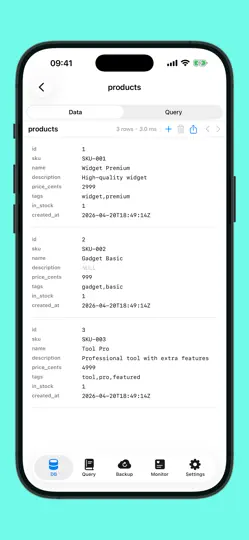 Capture d'écran de Forge Database Manager sur iPhone 3