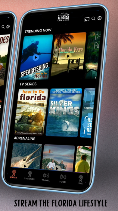 Discover Florida Channel Screenshot