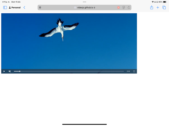StopButton Screenshot