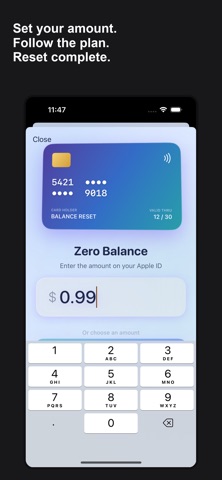 Balance Reset Screenshot 6 of 6