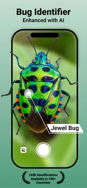 iBug: Insect & Bug Identifier screenshot 1