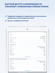 Личный кабинет предпринимателя айпад изображения 4