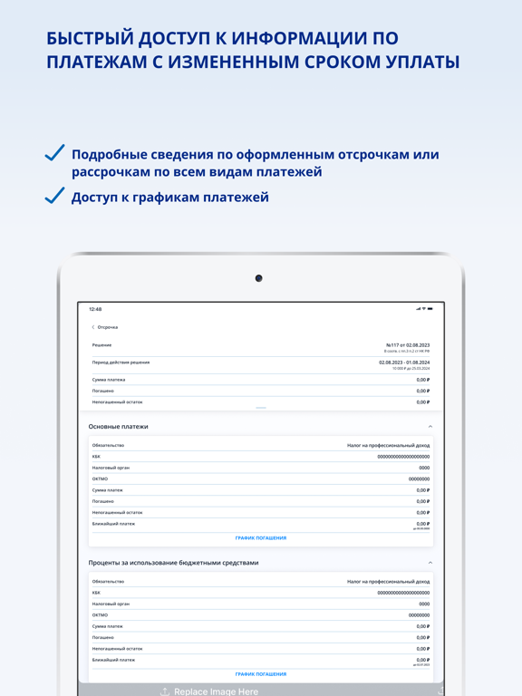 Личный кабинет предпринимателя iPad screenshot 4 - Business app