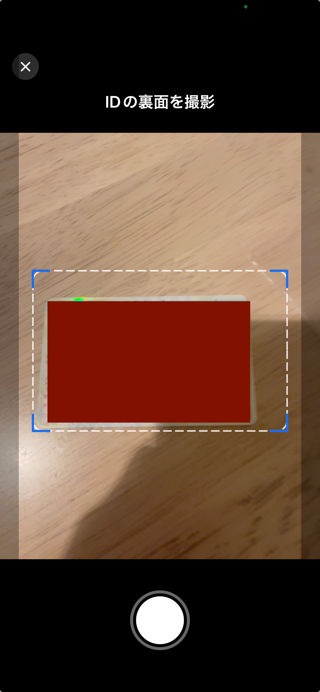 ScanWave Pro