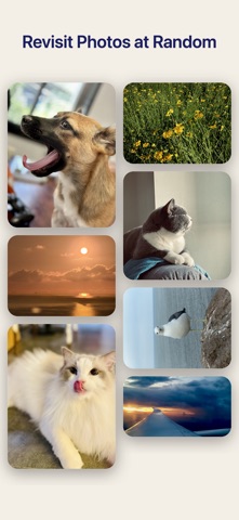 Oushi screenshot 1