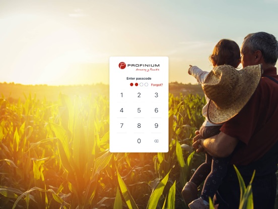 Profinium iPad screenshot 2 - Finance app