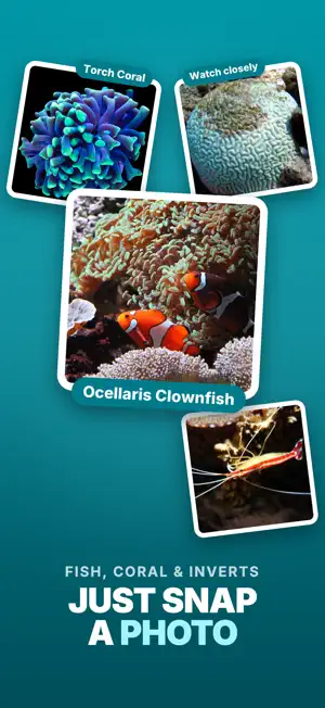 Reef Life Identifier: ReefIQ screenshot 2