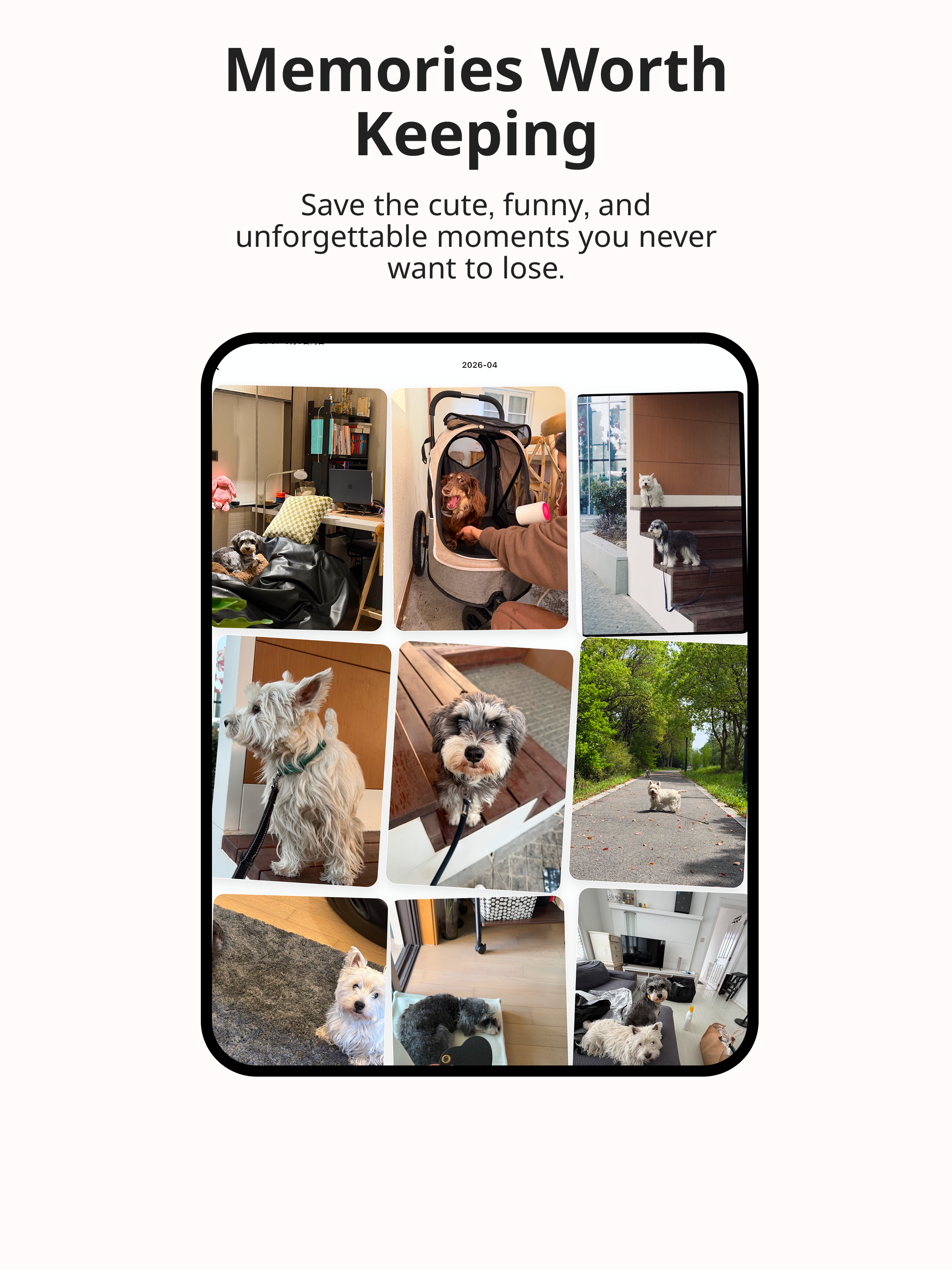 PawDoo: Dog Care & Pet Diary screenshot 12