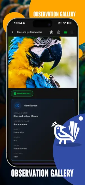 Bird Identifier Picture & Snap screenshot 2