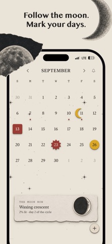 Paper Tarot Journal Screenshot 6 of 6