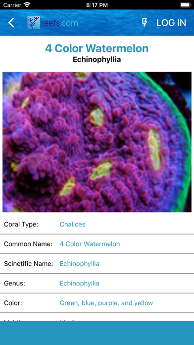 Reefs screenshot 5