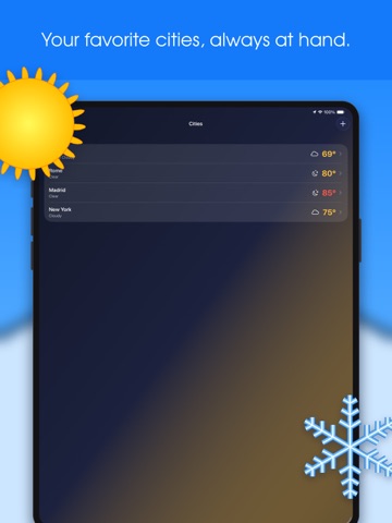 Widget Thermometer ext room iPad screenshot