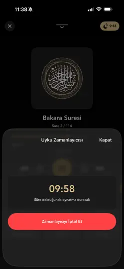 Kuran-ı Kerim Türkçe Meali iPhone Ekran Görüntüsü 4