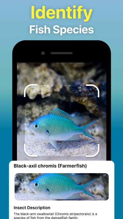 Identify Anything AI Scanner screenshot-4