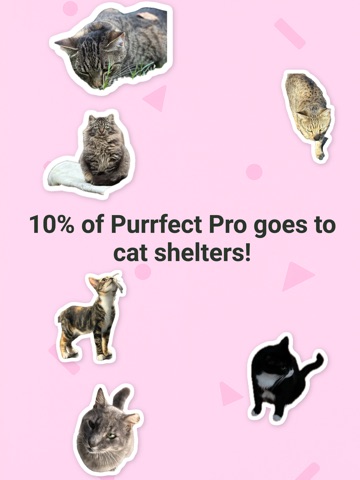 Pawsport: Cat Photo Journal iPad screenshot
