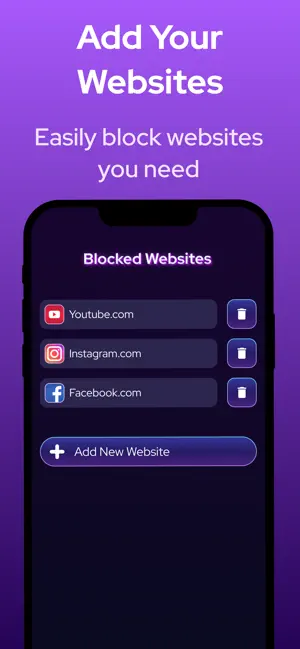 SafeNet Web Site Blocker screenshot 3