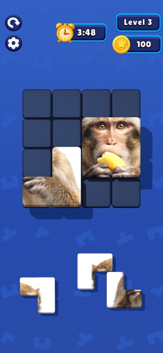 Tetro Puzzle! Screenshot 5 of 6